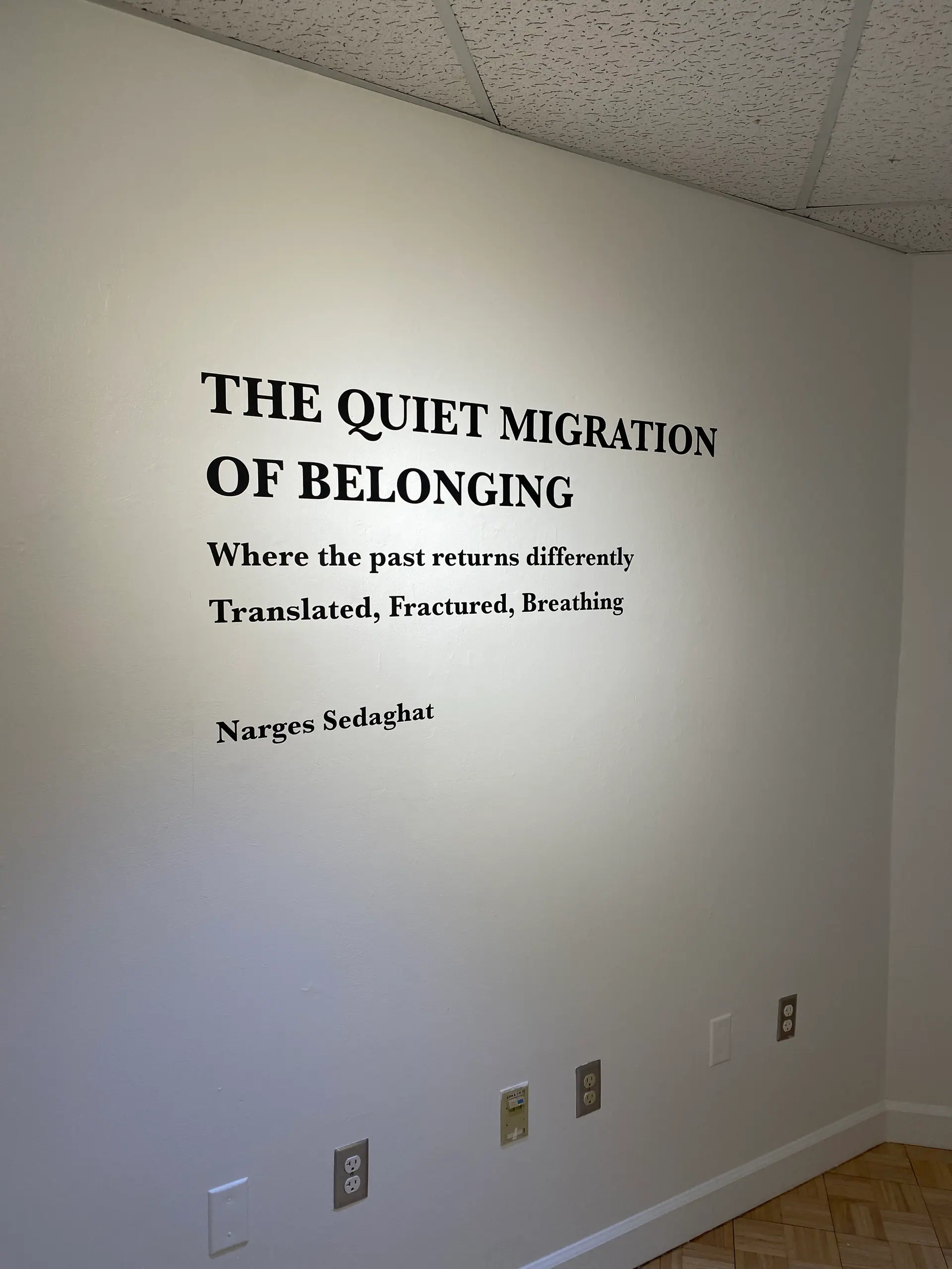 Wall title: The Quiet Migration of Belonging — Where the past returns differently. Translated, Fractured, Breathing. Narges Sedaghat